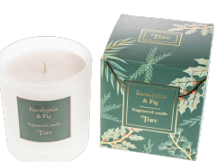 Torc Eucalyptus & Fig Tumbler Candle