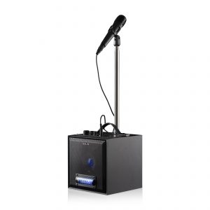 Party Karaoke Speaker with Microphone